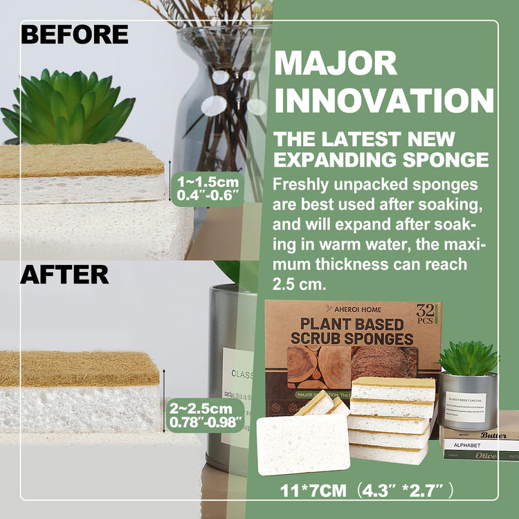 Natural Sponges for Dishes