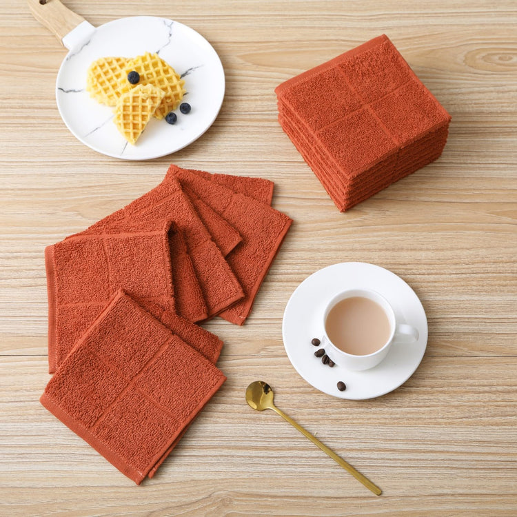Dishcloths Kitchen Highly Absorbent Dish Rags 100% Cotton Dish Cloths for Washing Dishes (12 Count)