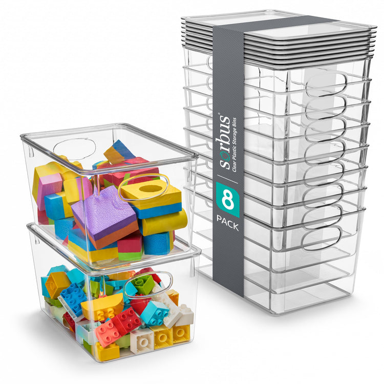 Large Clear Plastic Bins with Lids (8 Count)