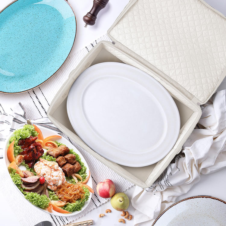 Platter Storage Cases