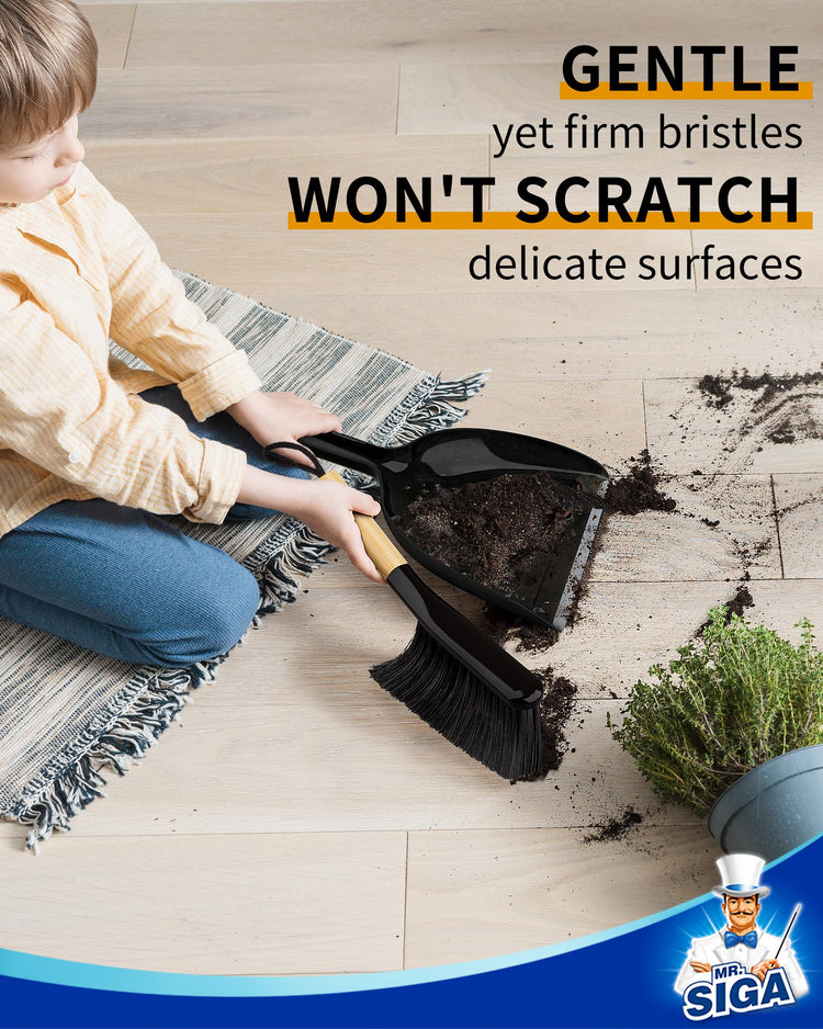 Dustpan and Brush Set