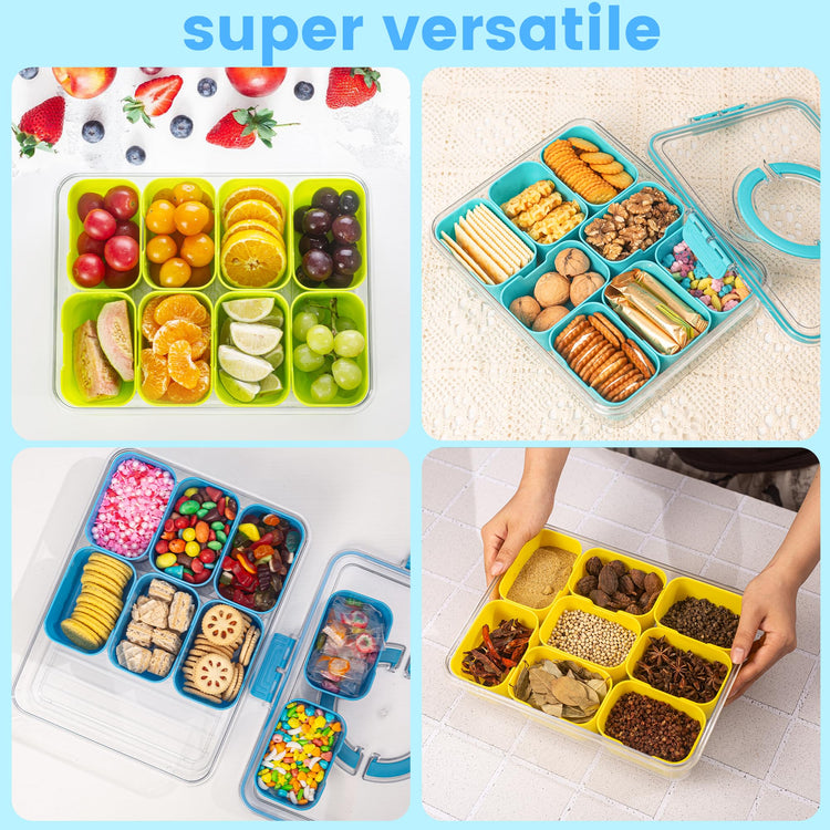 Divided Serving Tray with Lid and Handle