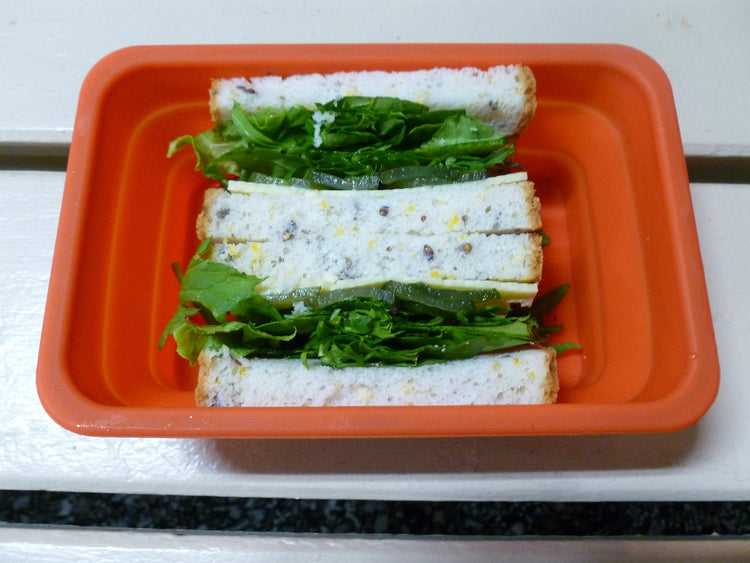 Oven & Microwave Safe Silicone Collapsible Lunch Box