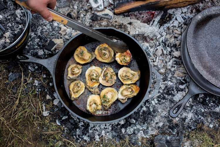 Pre Seasoned Cast Iron Skillet