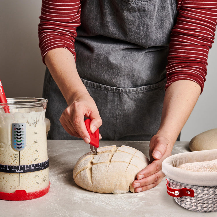 Sourdough Starter Kit (34 Ounce)
