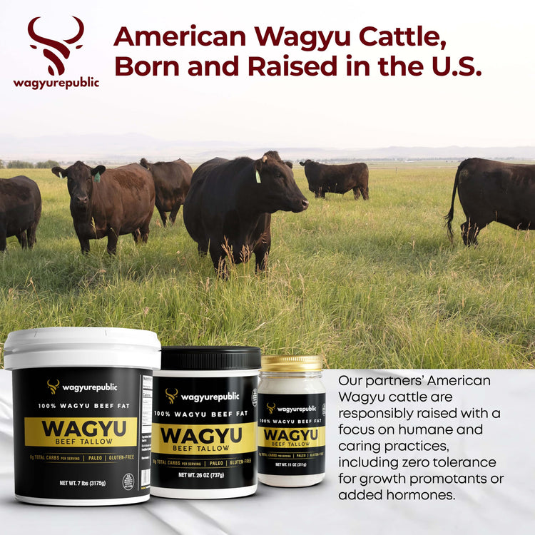 Wagyu Republic Beef Tallow ⎸ Grass Fed Wagyu Beef Tallow (32 Ounce)