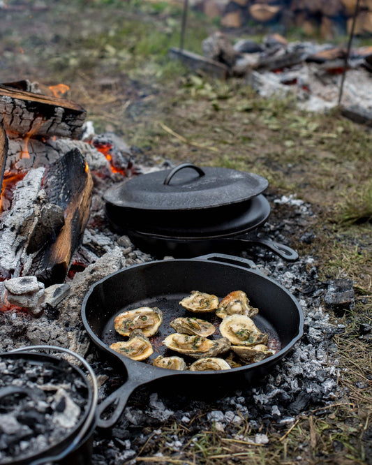 Pre Seasoned Cast Iron Skillet