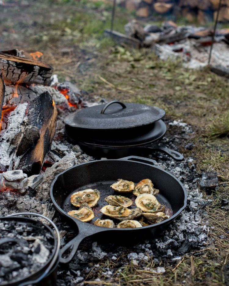 Pre Seasoned Cast Iron Skillet
