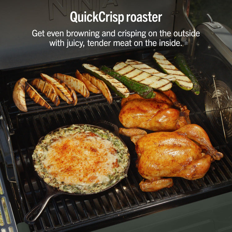 FlexFlame Grill & Smoker
