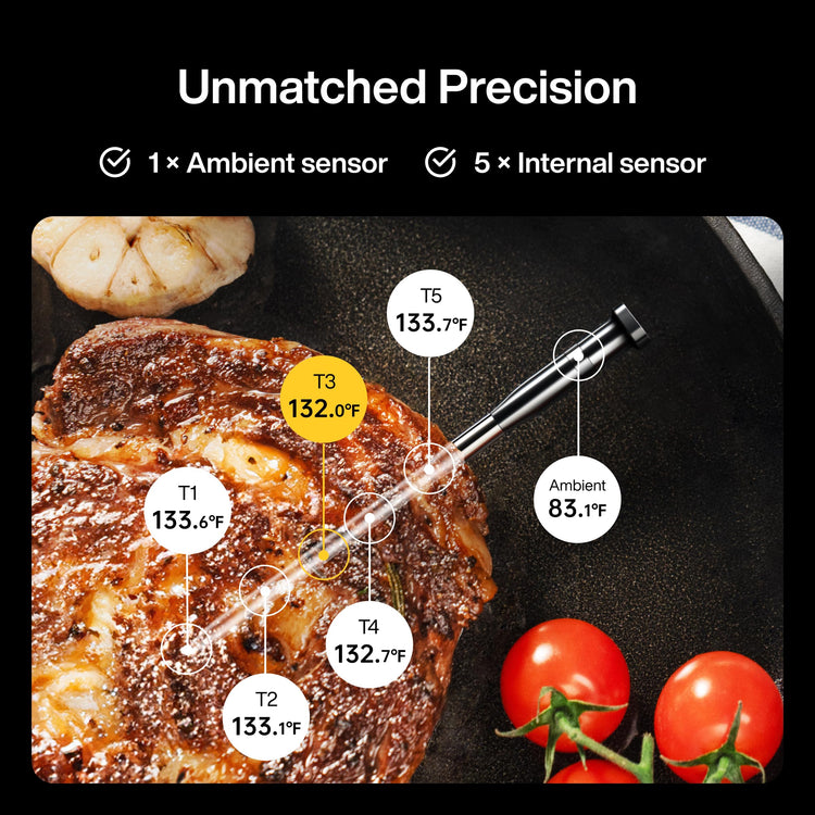 Sync One Smart Wireless Meat Thermometer