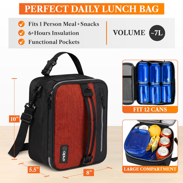 Insulated Lunch Bag for Men Women Kids