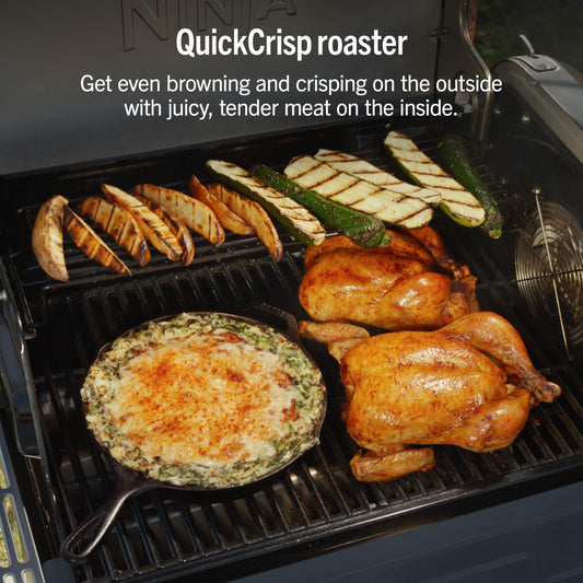 FlexFlame Grill & Smoker