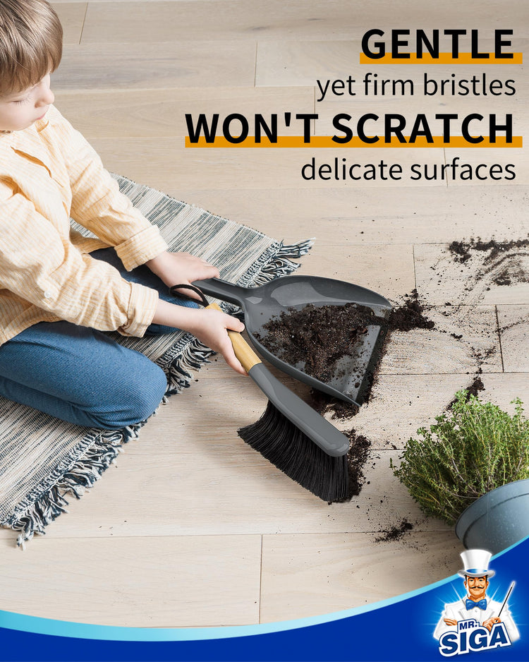 Dustpan and Brush Set