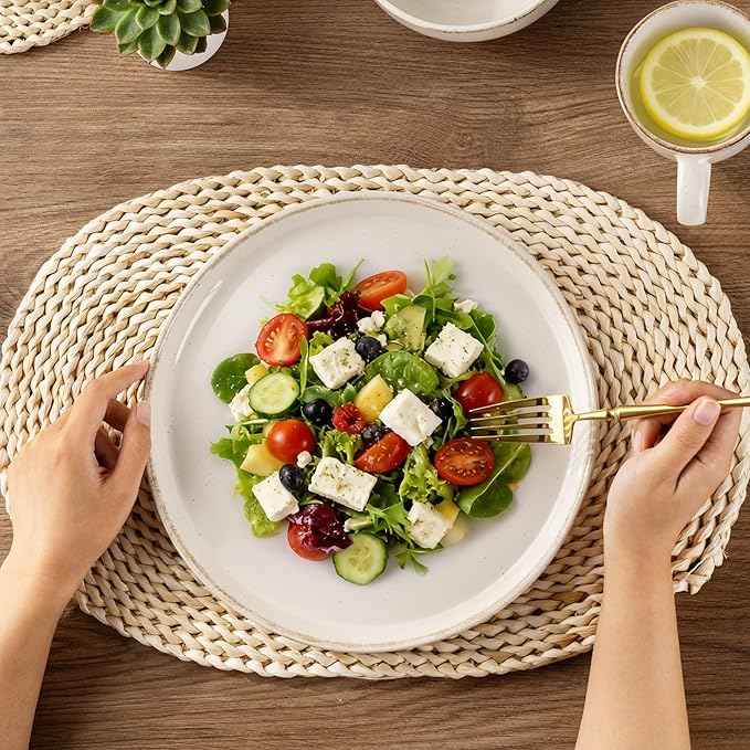 AmorArc 24 Pieces Ceramic Dinnerware Sets for 8, Handpainted Stoneware Plates and Bowls Set with Rustic Terracotta Underside, Scratch Resistant Dishes Set, Dishwasher & Microwave Safe