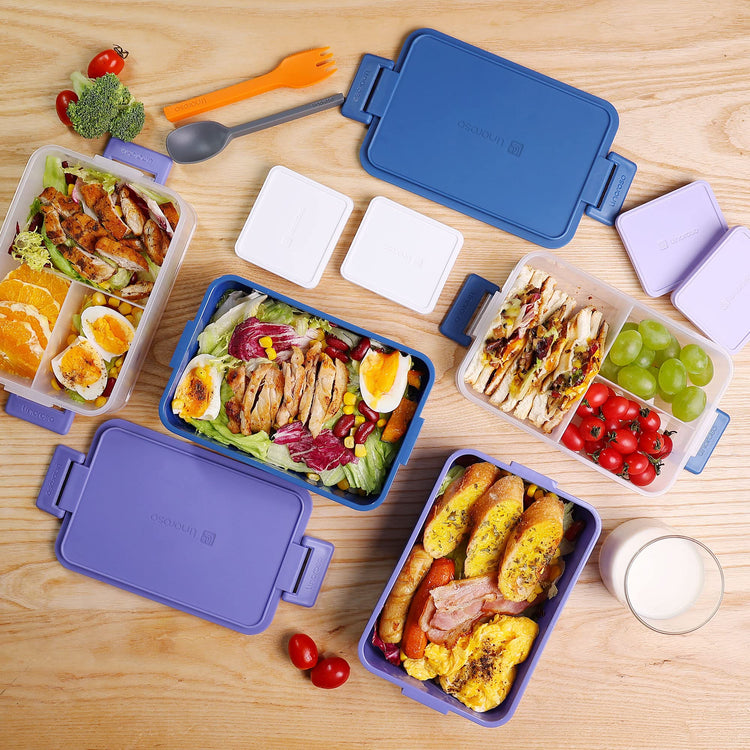 Stackable 2 Tier Adult Bento Box