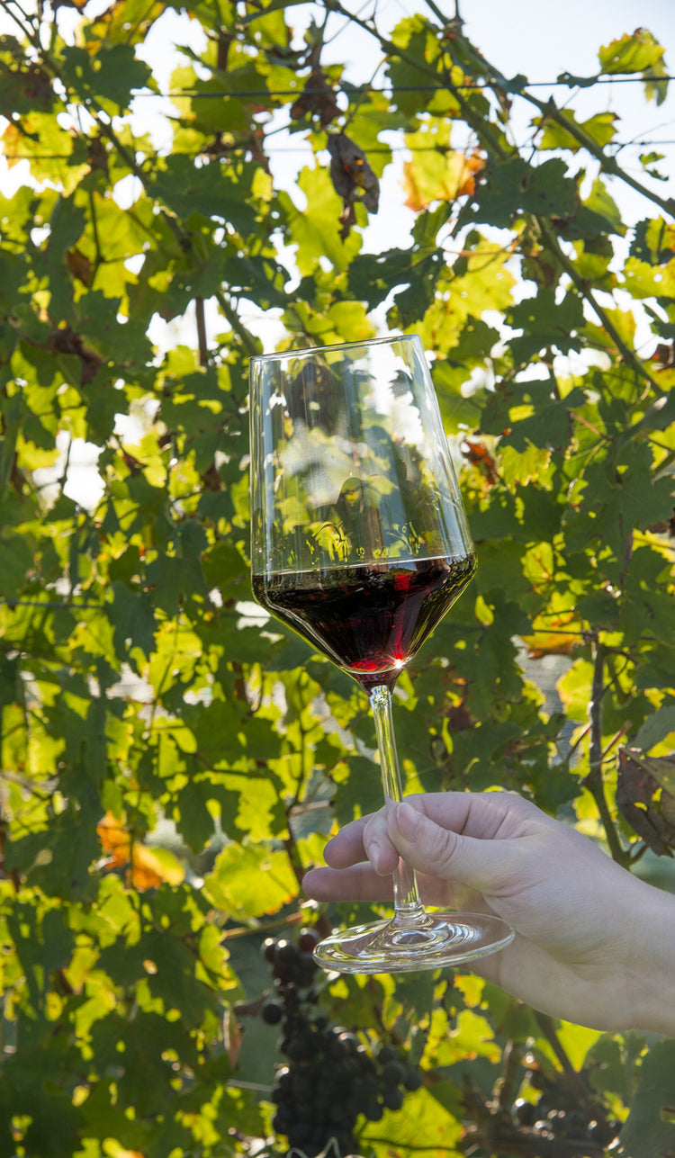 Pure Cabernet Red Wine Glass (4 Count)