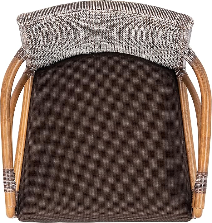 SAFAVIEH Home Collection - Gianni Brown & Dark Brown Solid Wood Rattan Arm Chair, Tropical Coastal Accent Seating for Living Room or Dining Space (SEA4011C)