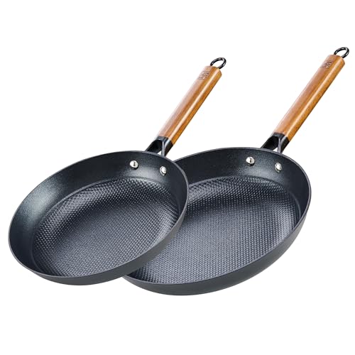 Cast Iron 10 12 Inch Nonstick Skillets (10 and 12-Inch)