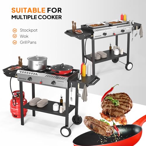 2 Burner Outdoor Propane Gas Stove with Auto (Flagship)