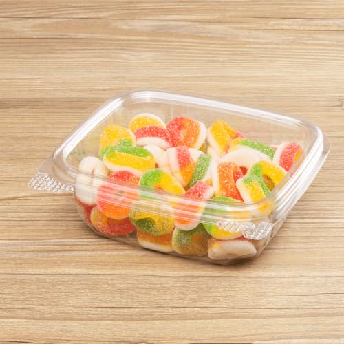 12 oz Clear Plastic Clamshell Containers with Hinged Lids (12oz)