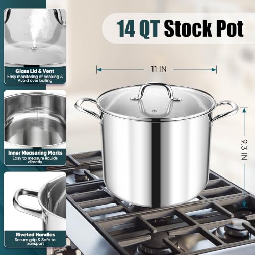 14 Quart Stainless Steel Stock Pot with Lid (14 Quarts)