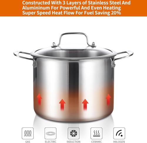 Tri ply Stainless Steel 20 Quart Heavy Duty Induction Stock Pot (Silver / 20 Quarts)