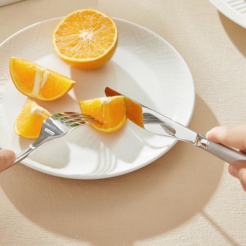 20 Piece Flatware Set (20-Piece / Matte Silver)