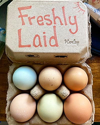 Half Dozen Blank Egg Cartons (Tan / 20)
