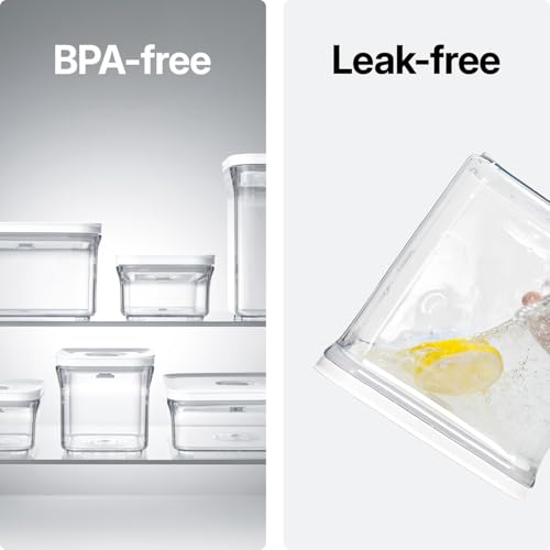 Premium Airtight Food Storage Containers (MINI SQUARE 0.8LX2PCS)