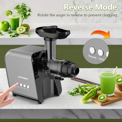 Masticating Juicer Machine 250W (Silver)