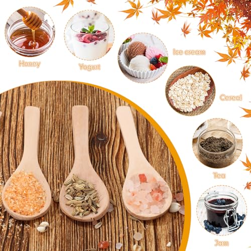 100 Pcs Small Wooden Spoons (Light Wood)