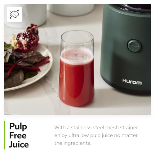 H320 Cold Press Juicer Machine (Black Slow Juicer)