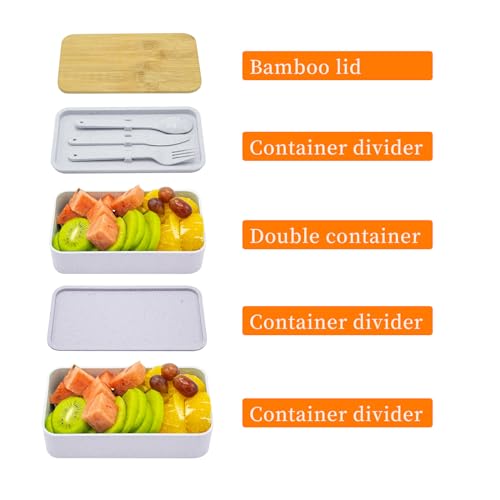 Bento Box Adult Lunch Box with lunch bag (Gray)