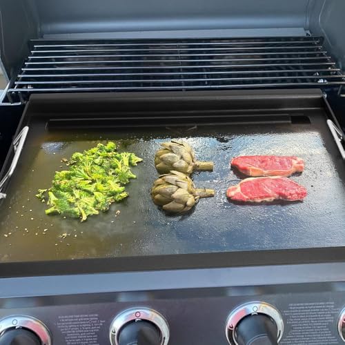 Full Size Griddle Inserts for CharBroil Performance 4 Burner Series (17" x 23.6")