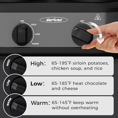 Dual Pot Slow Cooker (Gray / 2.5 Quarts)