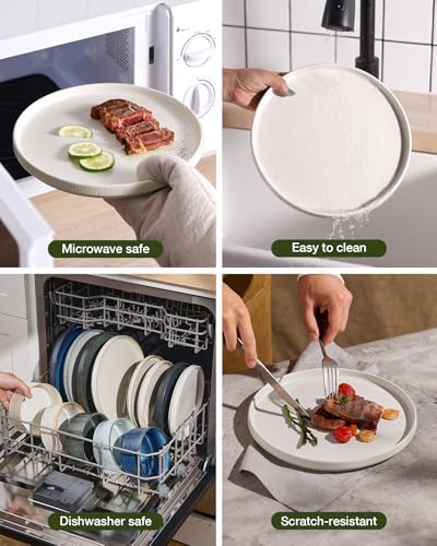 Star Stoneware Dinnerware Set (Matte White)