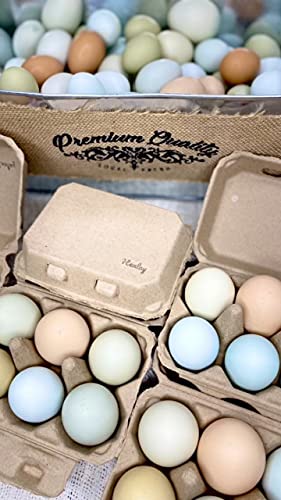 Half Dozen Blank Egg Cartons (Tan / 20)