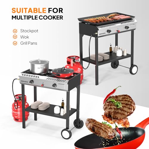 2 Burner Outdoor Propane Gas Stove with Auto (Classic)
