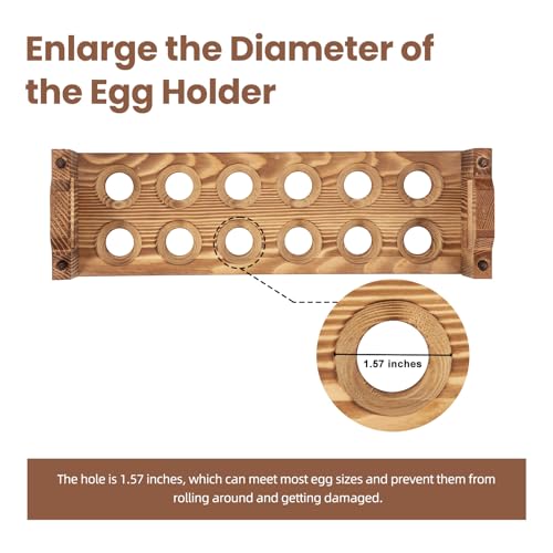 Egg Holder Countertop