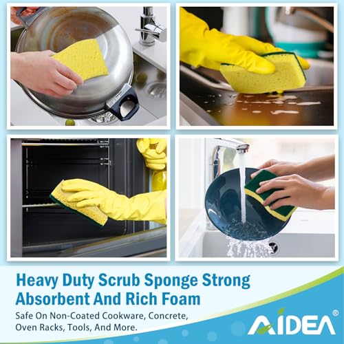 Sponges Kitchen (Green)
