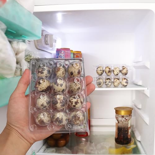 220 Pack Quail Egg Cartons (220 Pack Quail Egg Cartons 12 Grids)