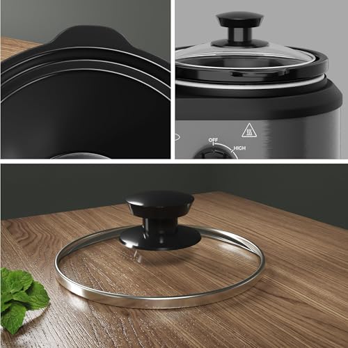 Dual Pot Slow Cooker (Gray / 2.5 Quarts)