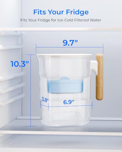 PT-04C-A Alkaline Water Filter Pitcher, 10-Cup Capacity, Clear (Alkaline Pitcher / Clear)