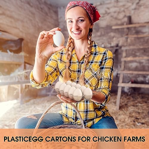 180 Pack Egg Cartons Cheap Bulk 12 Count Plastic Egg Containers 3x4 Grids (180Pack-3x4 Grids)