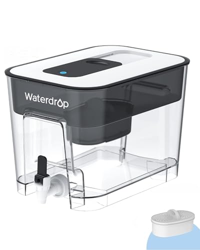 WFD 22L Large Water Filter Dispenser (Black)