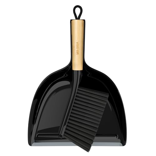 Dustpan and Brush Set (Black)