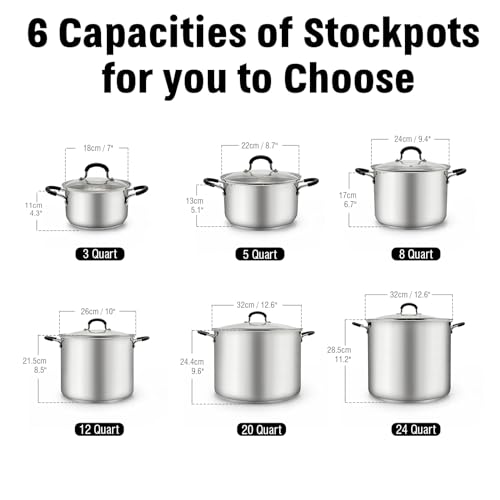 Professional 24 Quart Stainless Steel Stock Pot with Lid (24 Quarts)