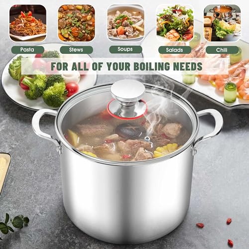 12 Quart 18 10 Stainless Steel Stock Pot with Lid (12 Quarts)