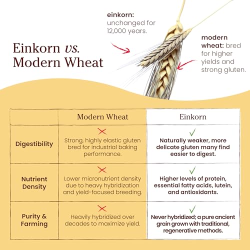 Organic Einkorn Unbleached All Purpose Flour (32 Ounce (Pack of 4))
