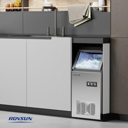 110LBS 24H Countertop Ice Maker with 2 Water Inlets (Silver & Black / 110LB)